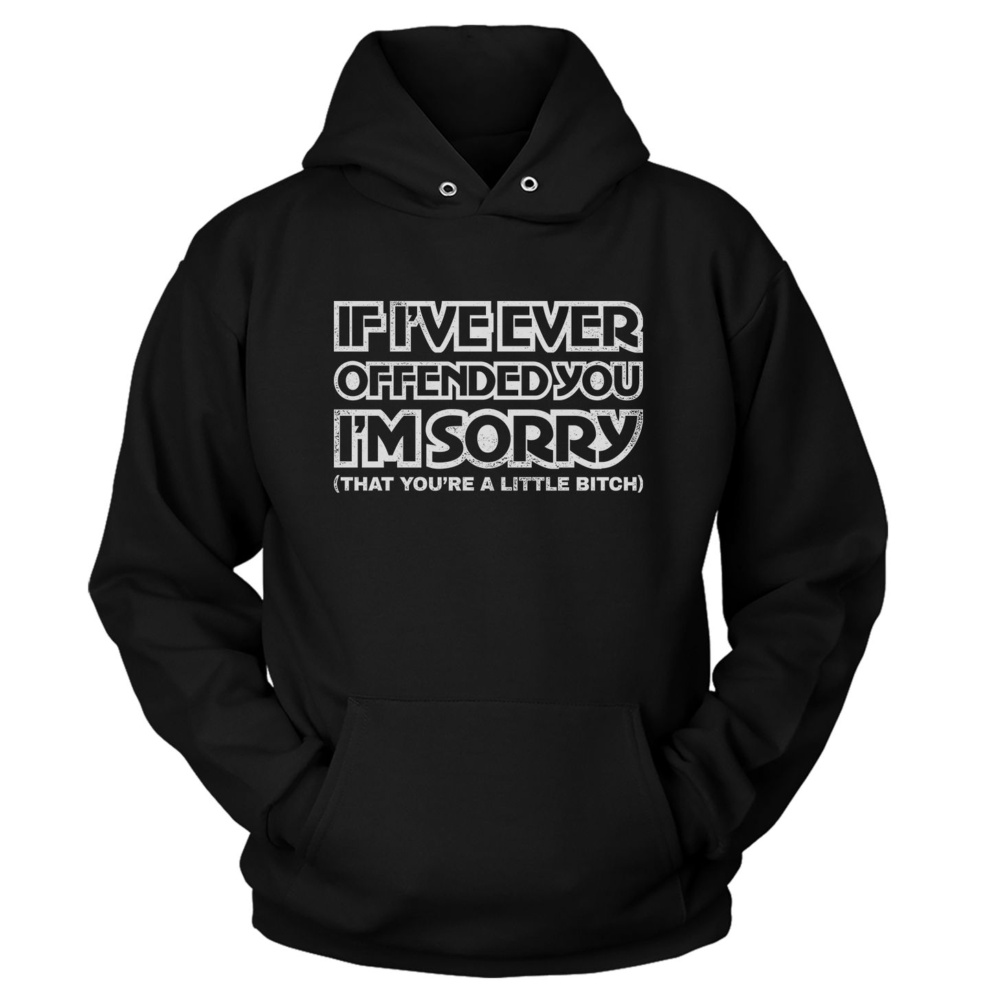 T-shirt Premium Soft Hoodie / Black / XS Sorry Little Bitch (Raw) (Ladies)