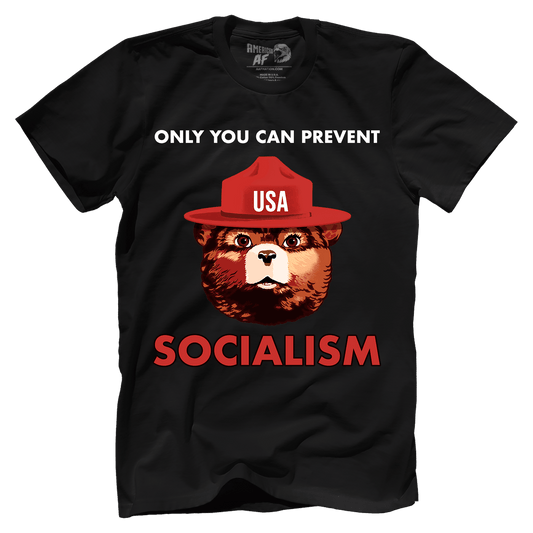 T-shirt Premium Mens Shirt / Black / XS USA Bear