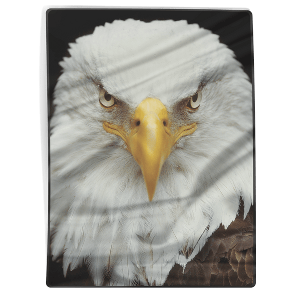 Bald Eagle Blanket