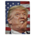 Donald Trump's Face V2 Blanket