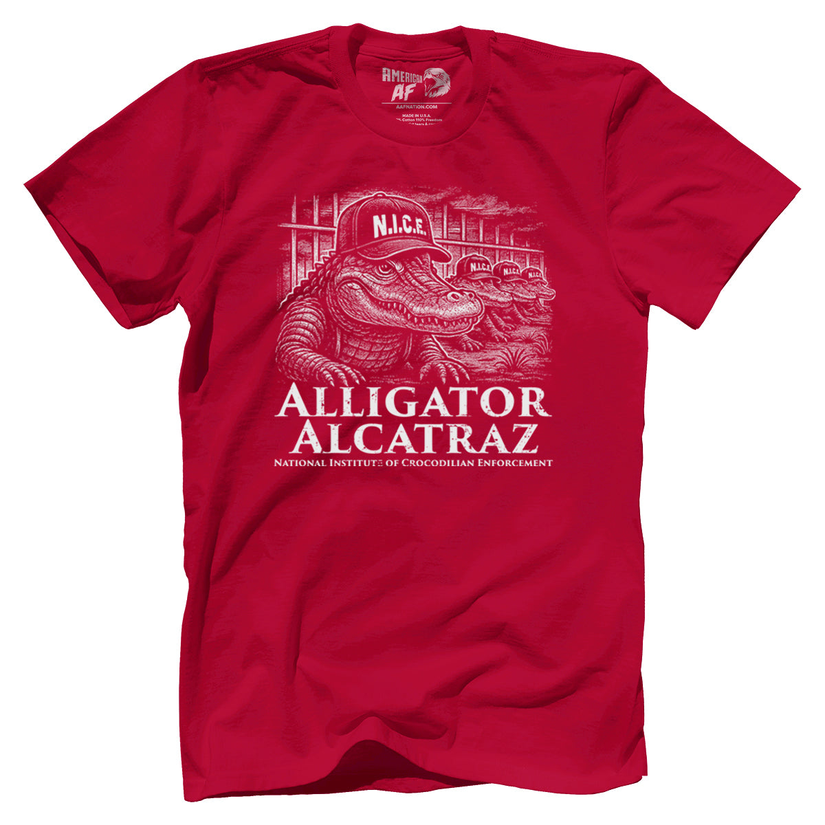 N.I.C.E. - Alligator Alcatraz