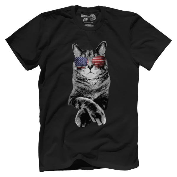 Americat 2.0