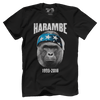 Harambe 1999-2016