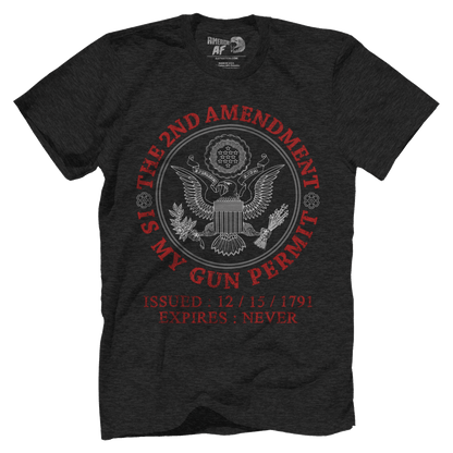 T-shirt Premium Mens Triblend Shirt / Vintage Black / S The 2nd Amendment - Gun Permit