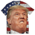 Donald Trump's Face V2