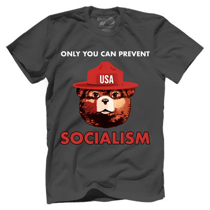 T-shirt Premium Mens Shirt / Dark Gray / XS USA Bear