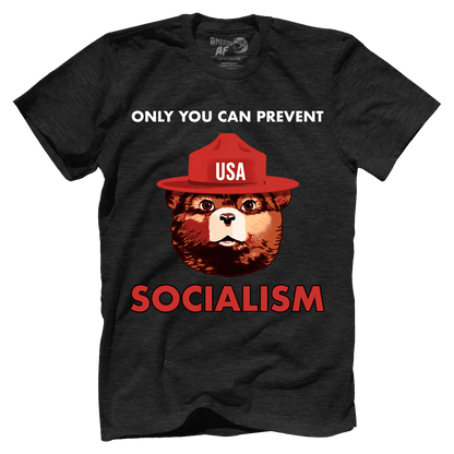 T-shirt Premium Mens Triblend Shirt / Black / S USA Bear