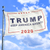 Trump 2020 V2 - Flag