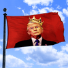 Notorious CIC - Flag